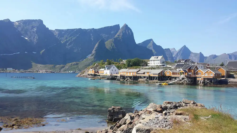 reine